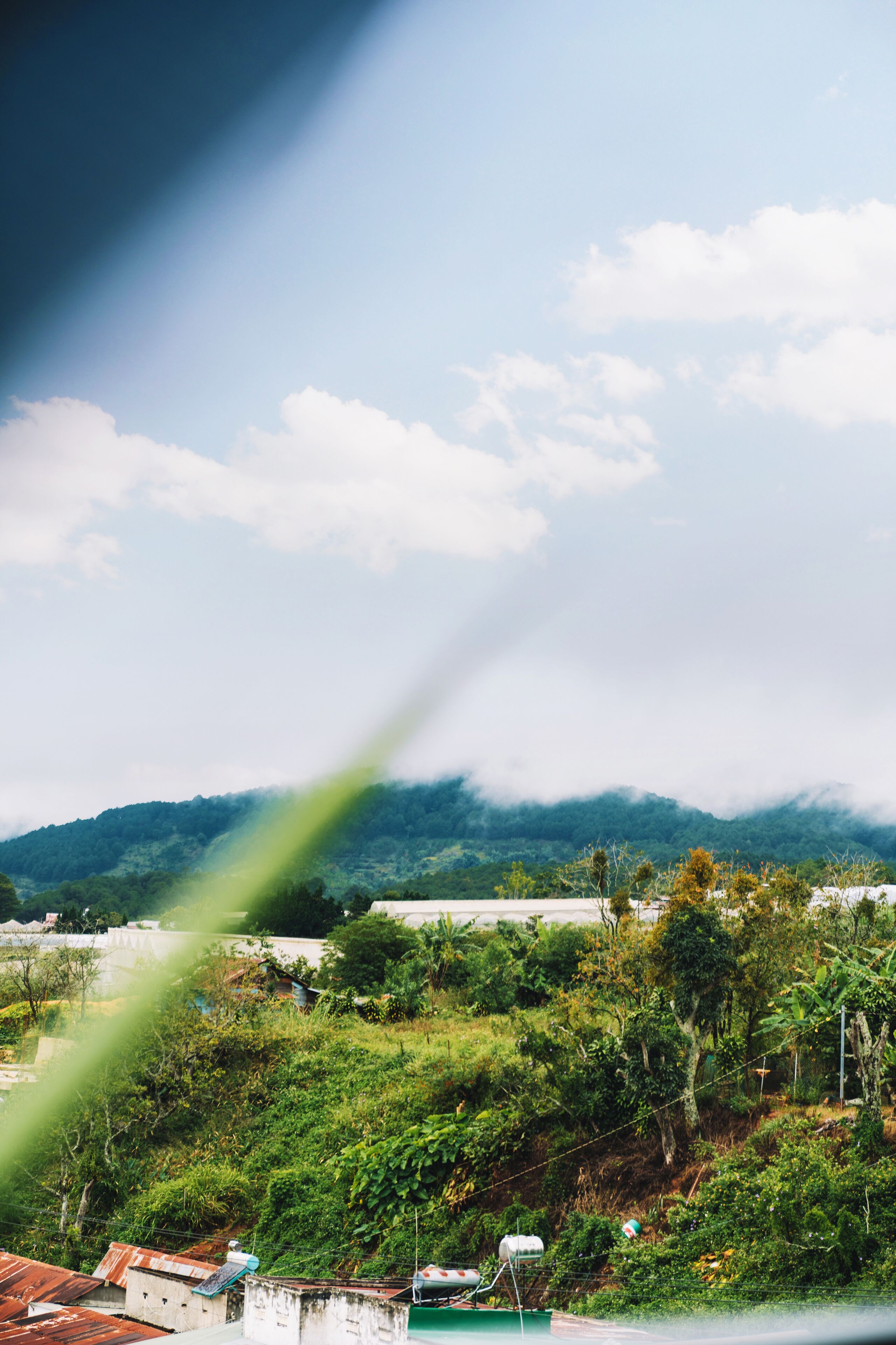 Vista de un paisaje montañoso con vegetación y edificios en primer plano.