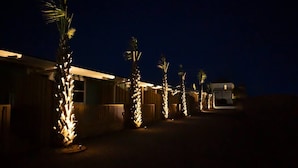 Une rangée de palmiers illuminés, un bâtiment avec un toit en pente et un véhicule à l’arrière-plan.