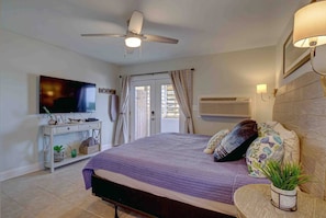 A bedroom with a bed, a TV, a ceiling fan, a bedside lamp, and a potted plant.