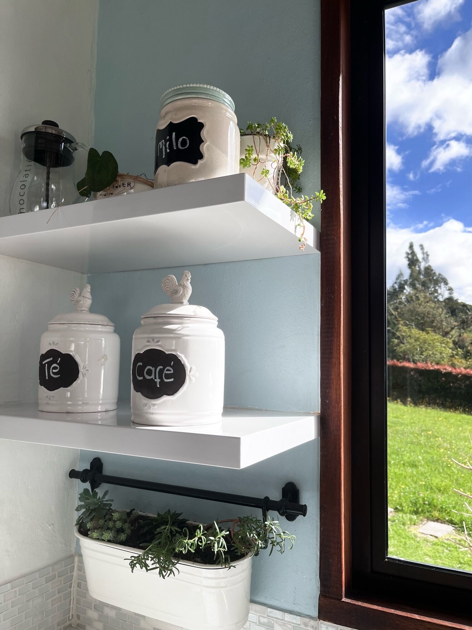 A kitchen shelf with white ceramic jars labeled "Te" and "Cafe," a hanging plant, and a window with a view of greenery.