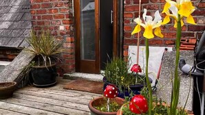 Une terrasse en bois agrémentée de plantes et de fleurs en pot, un mur de briques et une porte.