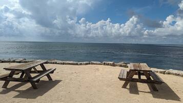 Beach/ocean view