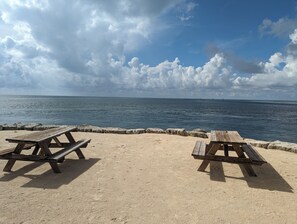 Beach/ocean view - Bud N' Mary's Fishing Marina (Islamorada)