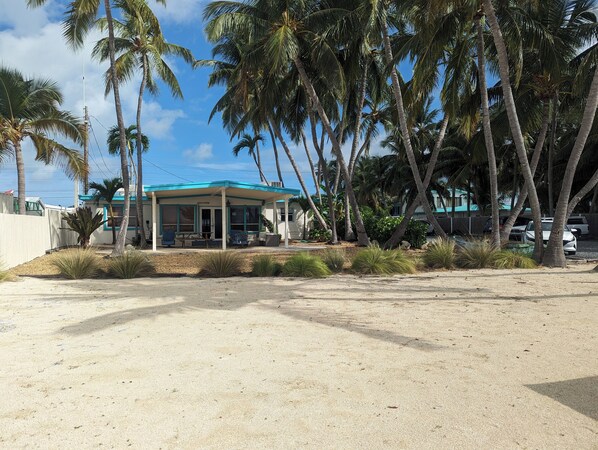 A covered outdoor area with a building, palm trees, and a sandy ground. - Bud N' Mary's Fishing Marina (Islamorada)