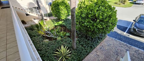 Un quartier résidentiel avec une allée pavée, une rambarde blanche et diverses plantes et arbres verts.