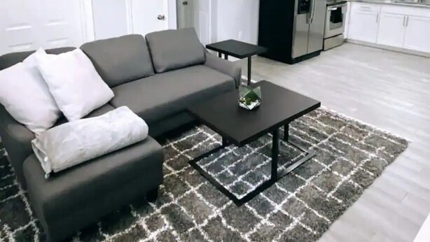 A modern living room with a sectional sofa, a coffee table, and a patterned rug. - Remodeled modern home (Port Richey)