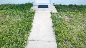 A single-story building with a white exterior, a dark roof, and a white door. There is a small overhang above the door and a single window on each side. - Remodeled modern home (Port Richey)