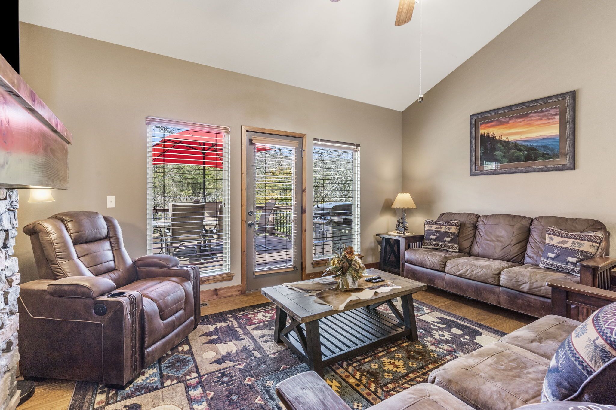 TV connectée, cheminée, lecteur de DVD