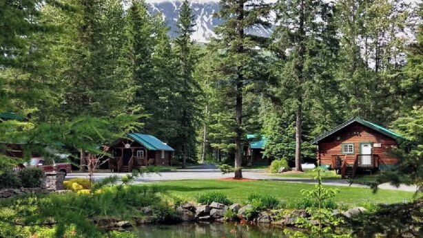 A cabin with a green roof, surrounded by dense forest and a small pond. - Box Canyon "Moose Cabin"-4 bed, private bath, WIFI (Seward)