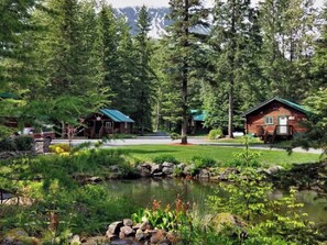 Property grounds - Box Canyon "Moose Cabin"-4 bed, private bath, WIFI (Seward)