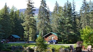 A cabin surrounded by tall trees, a small pond, and outdoor seating. - Box Canyon "Moose Cabin"-4 bed, private bath, WIFI (Seward)