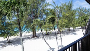 Ein Strand mit Palmen und blauem Himmel.