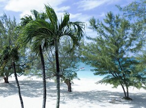 Una playa con palmeras y un bote en el agua.