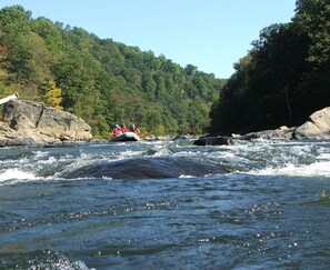Miscellaneous - Family suite in Ohiopyle-Walk to Falls & Trals (Ohiopyle)