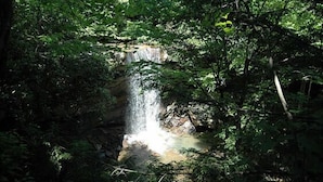 Een waterval in een bebost gebied.