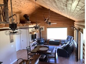 智能电视、壁炉、书、音乐库