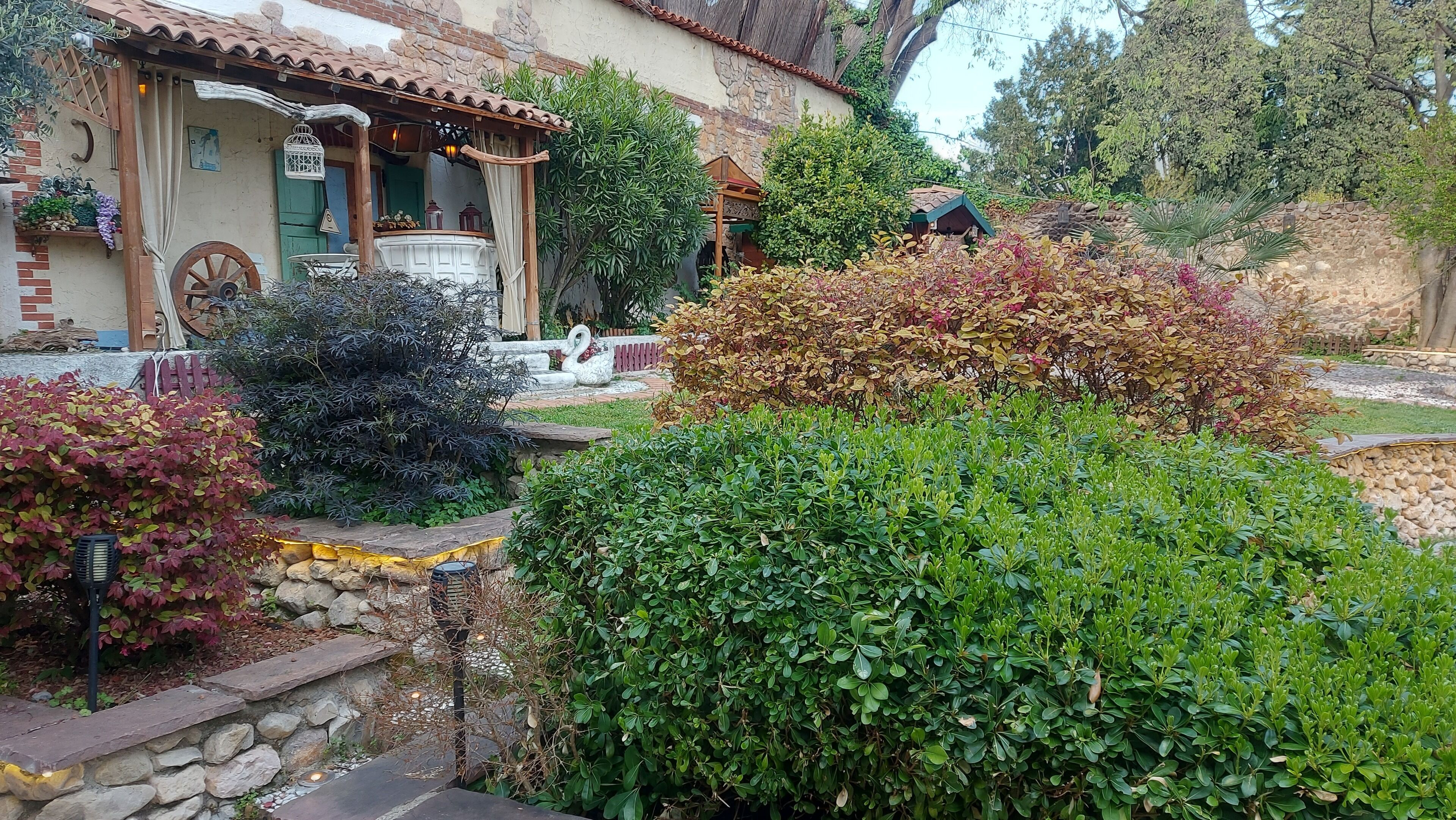 A rustic house with a stone facade, a wooden porch, and a garden with various shrubs and a small tree.