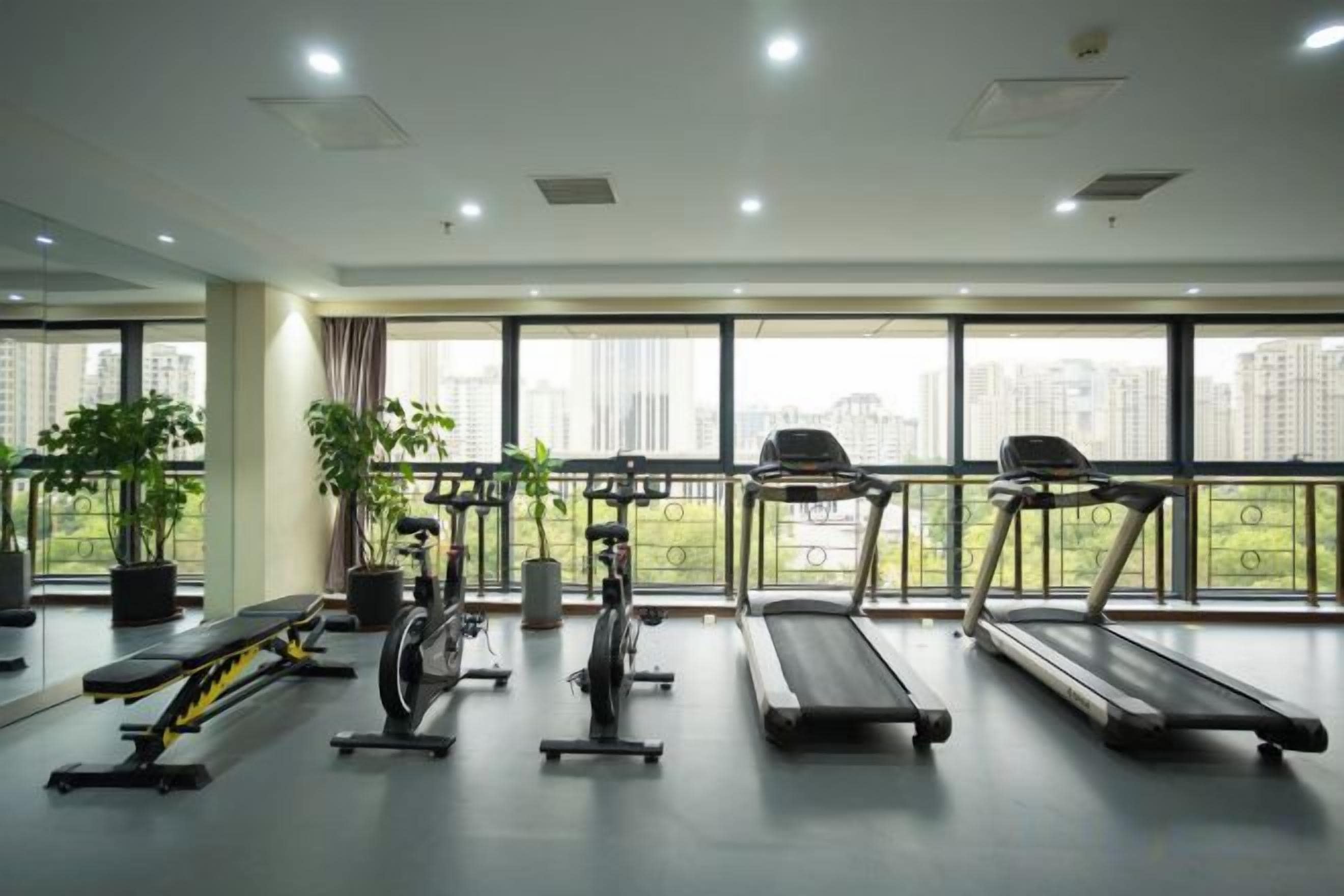 A gym with treadmills, stationary bikes, and benches.