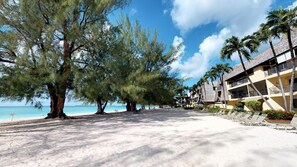 A beachside hotel with a sandy beach, palm trees, and a clear blue sky. - Awesome Oceanfront Grd Flr Condo on Spectacular 7 Mile Beach – #19 TIC (Grand Cayman)
