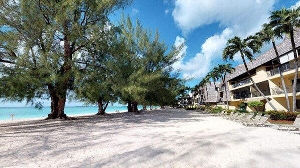 On the beach - Awesome Oceanfront Grd Flr Condo on Spectacular 7 Mile Beach – #19 TIC (Grand Cayman)