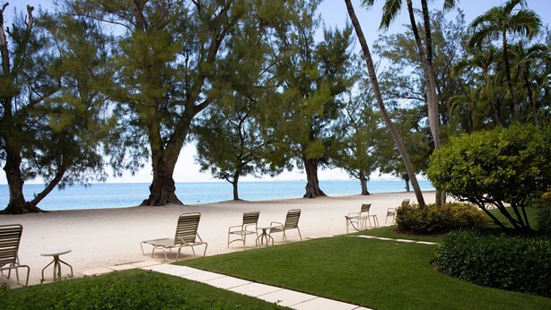 Un espace aménagé avec des chaises et des tables, situé au bord de la plage, entouré d’arbres et offrant une vue sur l’océan.