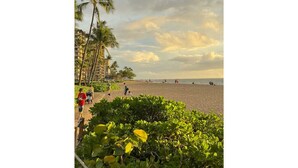 Una playa con palmeras, orilla arenosa y algunas personas caminando.