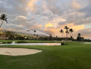 En golfbana med ett vattenhinder, palmer och en molnig himmel.