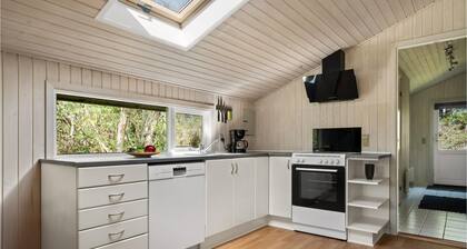 3 bedroom nice home in Fjerritslev