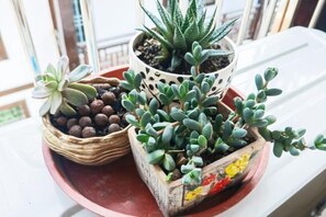 Room - Huayu Inn (Zhangjiajie)