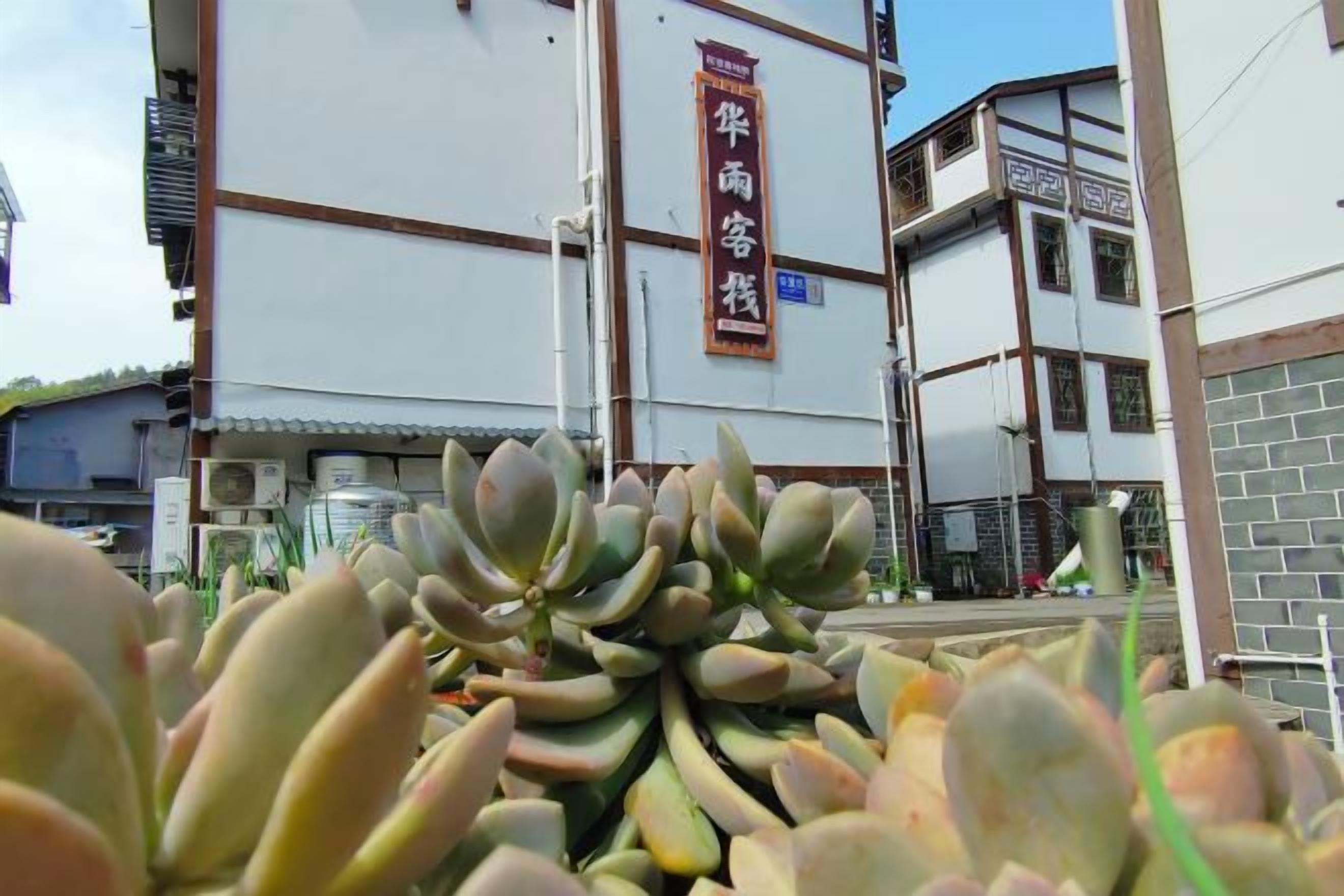A building with a sign that reads 'Hotel' and a plant in the foreground.