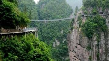 A suspension bridge in a forested gorge.