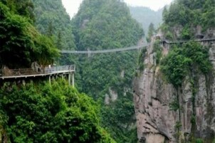 Un puente colgante en un desfiladero boscoso.