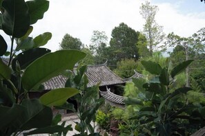 Unclassified image, 4 of 92, button - Baisha No. 66 Post Station (Yulong)