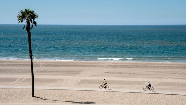 A beach with a single palm tree and two cyclists on a paved path. - Cozy Escape - Beach Community of Playa Del Rey (Los Angeles)