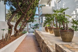 A narrow pathway flanked by potted plants and a tree, leading to a building with balconies. - New lower rates - 1bd condo - walk to everything (La Jolla)