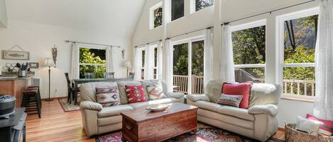 TV, fireplace, DVD player, video library