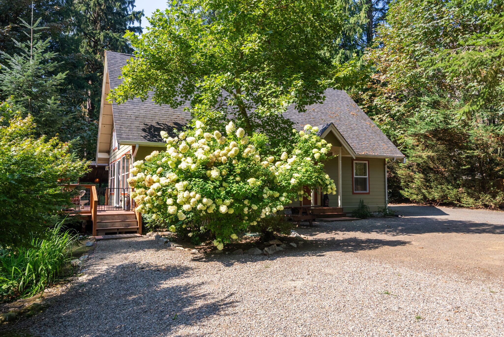 A house with a gravel driveway, a wooden deck, and a large flowering tree in front.