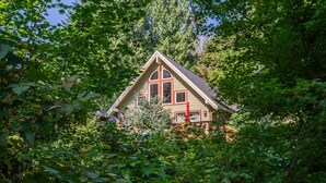 A house surrounded by dense green foliage.