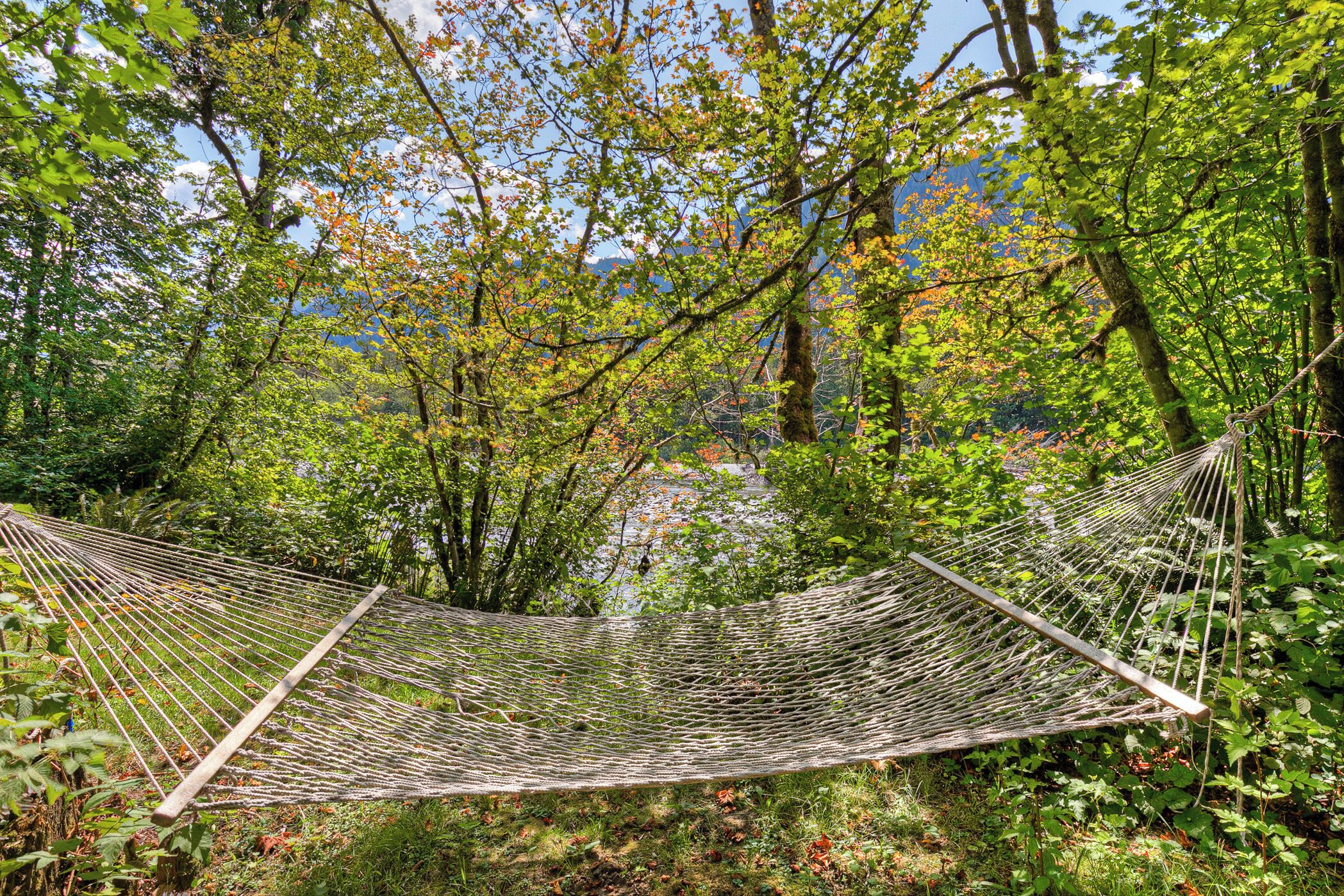 A hammock in a forested area with trees and a view of a mountain range.
