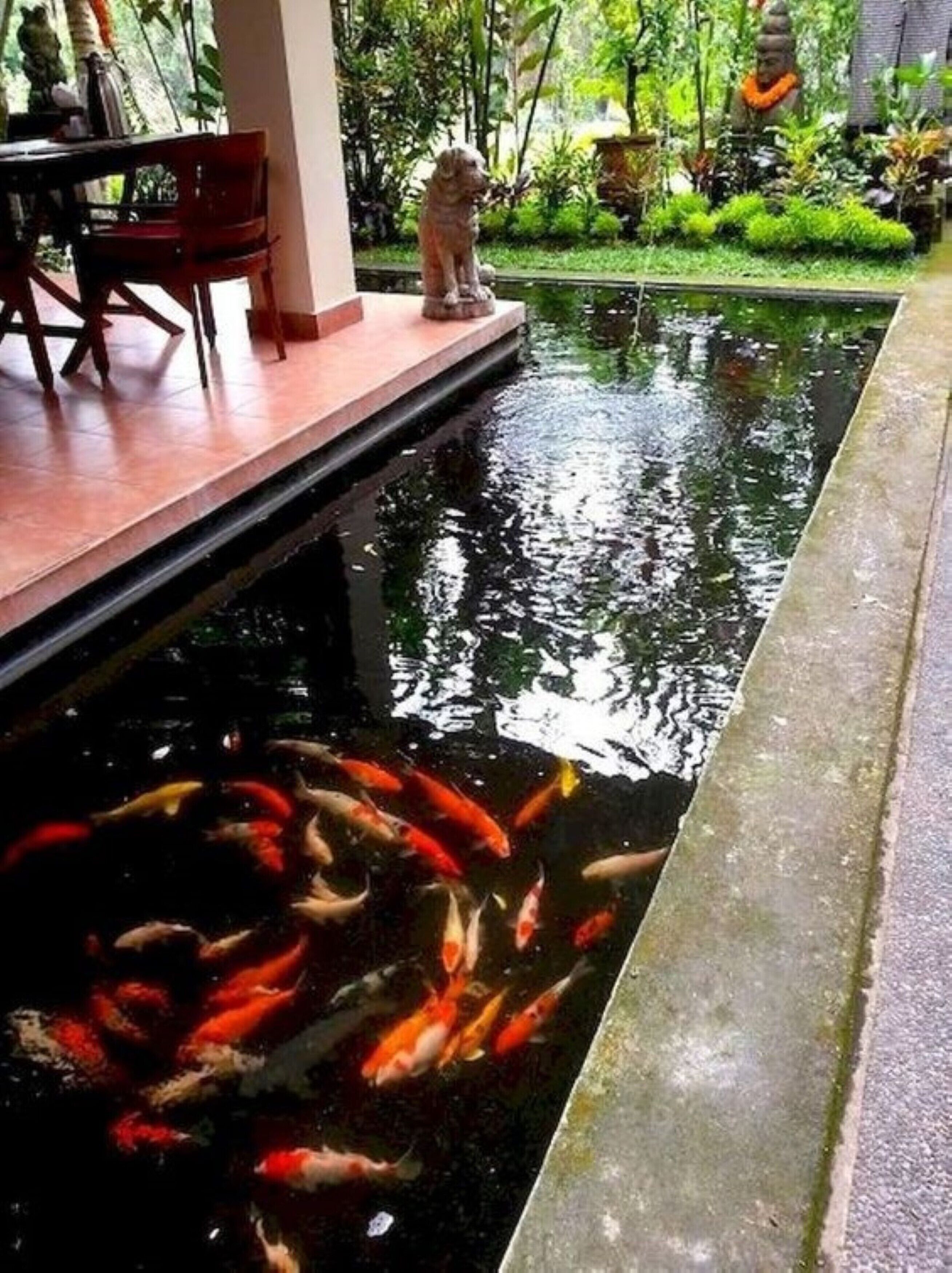 Luxus Neubau 170m2 Loft mit Pool Garten