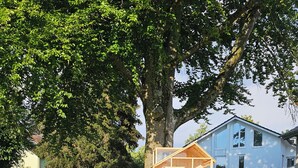 Ein hölzernes Spielhaus mit Rutsche und Kletternetz, umgeben von einem eingezäunten Bereich mit Rasen und Bäumen.