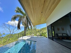 Außenpool, Infinity-Pool