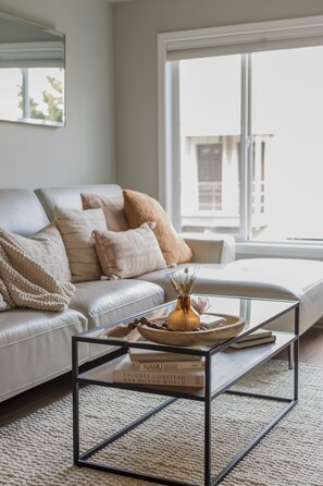 Älytelevisio, DVD-soitin, kirjoja, videokirjasto