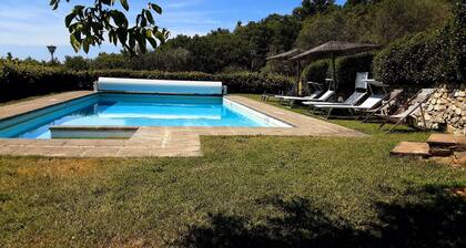 Cells of Lecchi Chianti