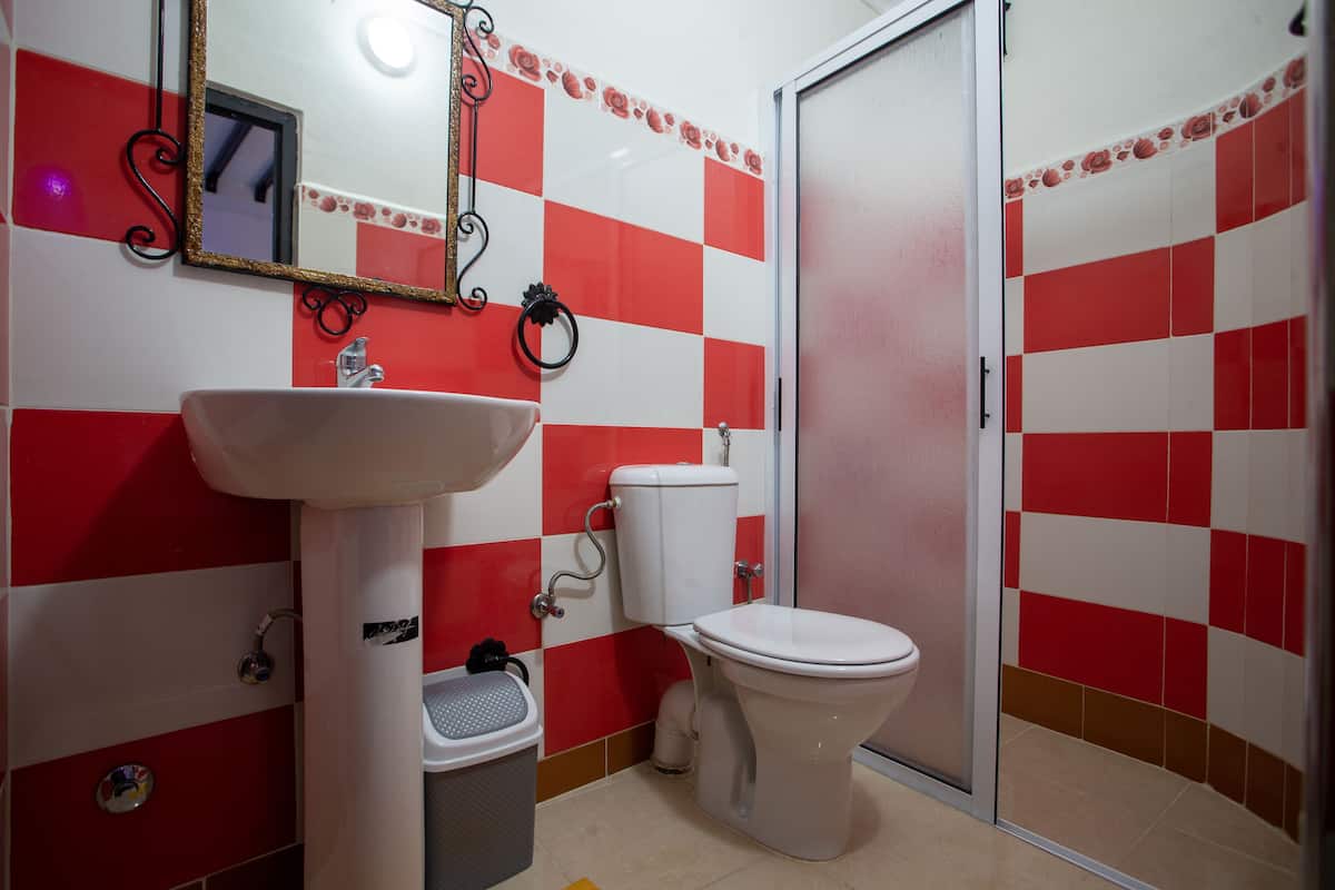 Shower, rainfall showerhead, hair dryer, bidet