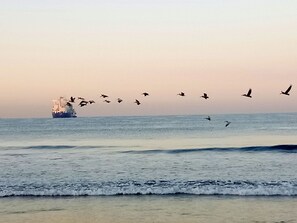 Exterior - Vista del mar  (Acajutla)