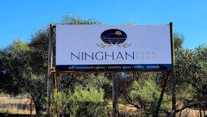 Cartel de la granja Ninghan Park Farm que anuncia cabañas autónomas, espacio creativo, café y animales.