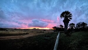 Un atardecer sobre un paisaje rural con un camino de tierra y una cerca de madera.