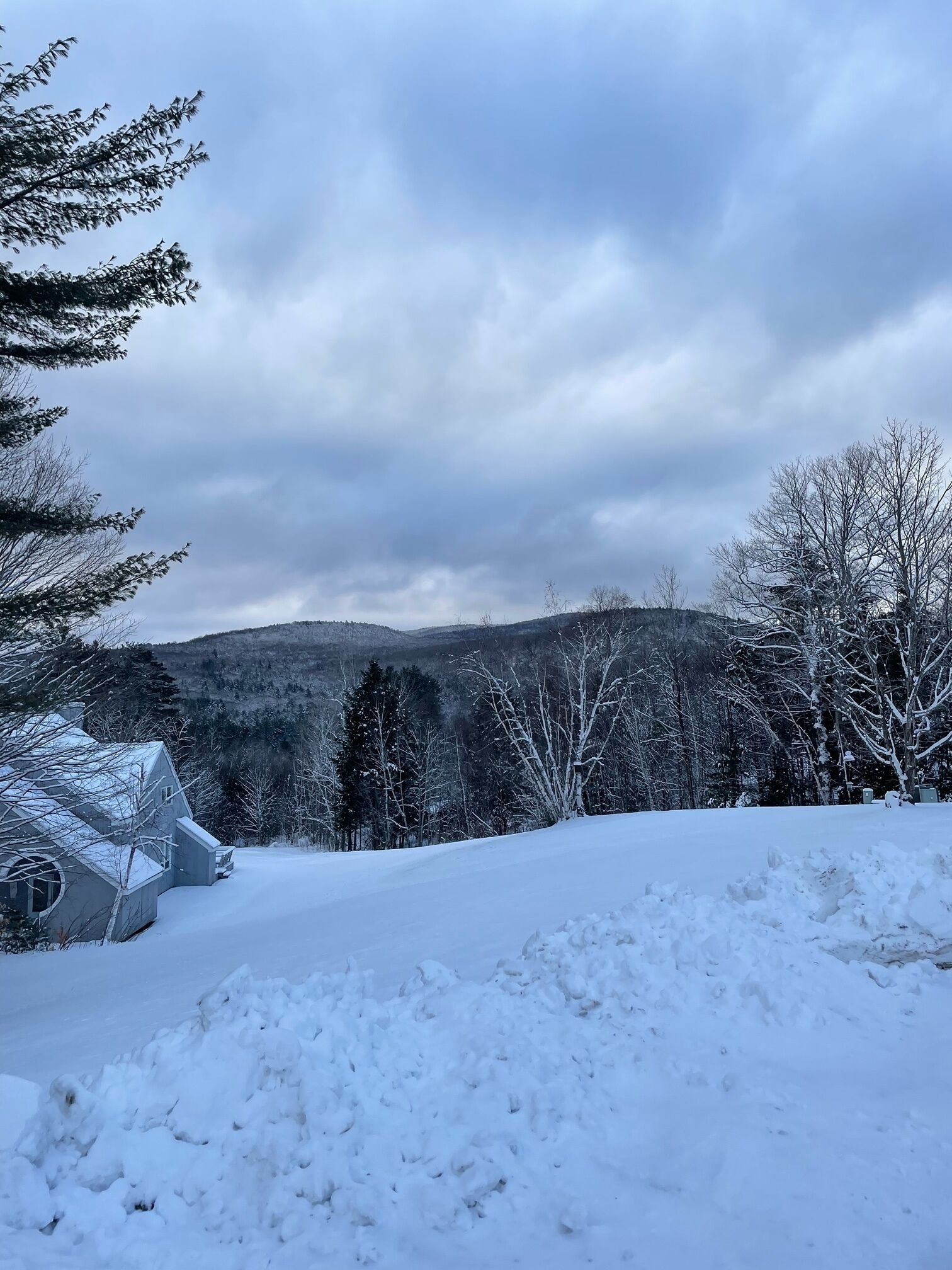 A snow-covered landscape with a house and trees.
