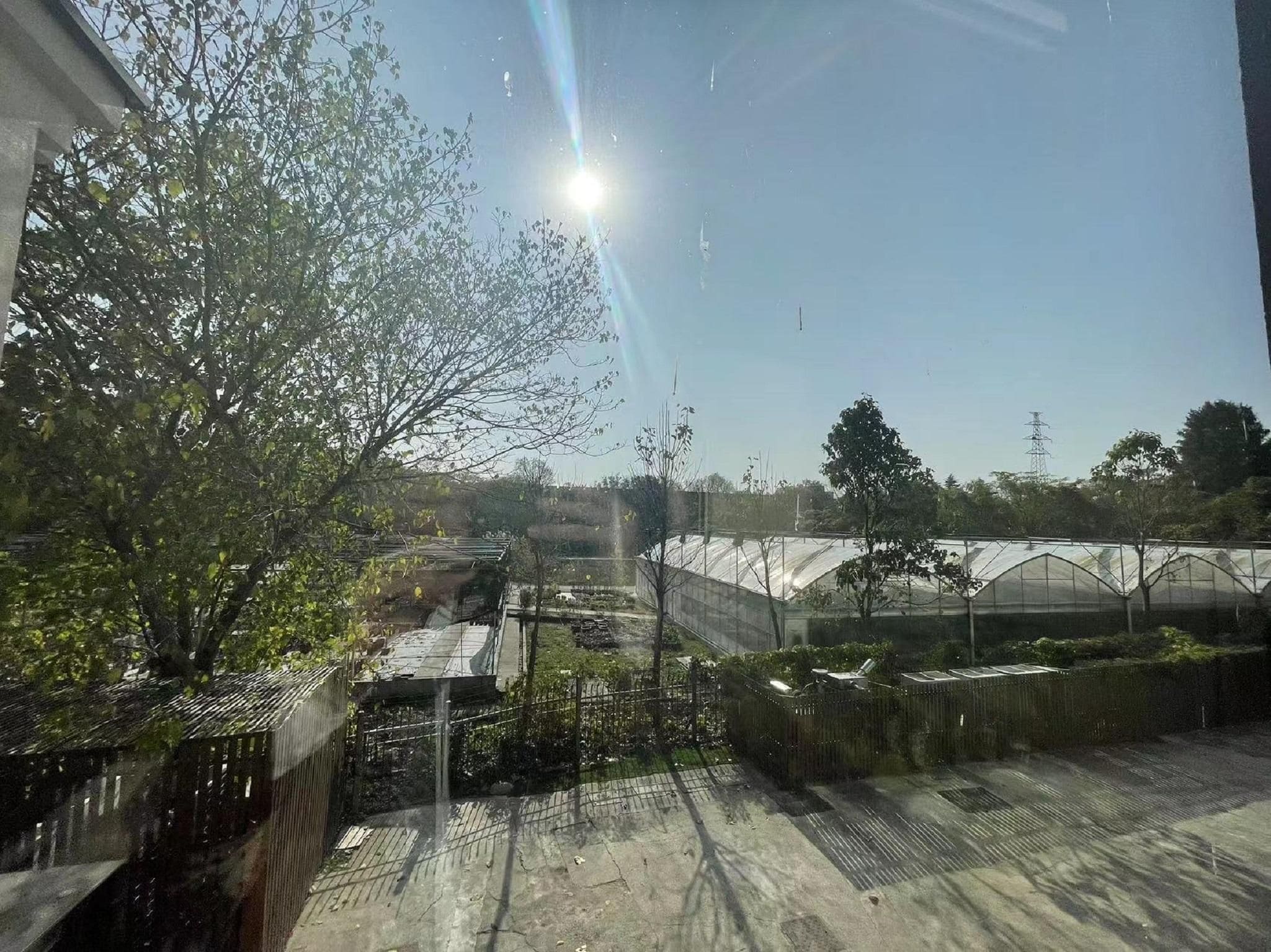 A greenhouse with a clear sky and sunlight.